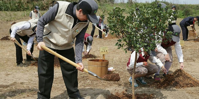 Подія 12 березня - День посадки дерев на Тайвані