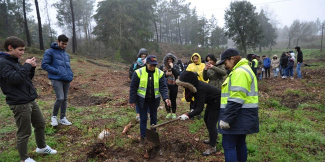 Подія 21 березня - День посадки дерев в Португалії