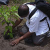 День посадки дерев в Коста-Ріці