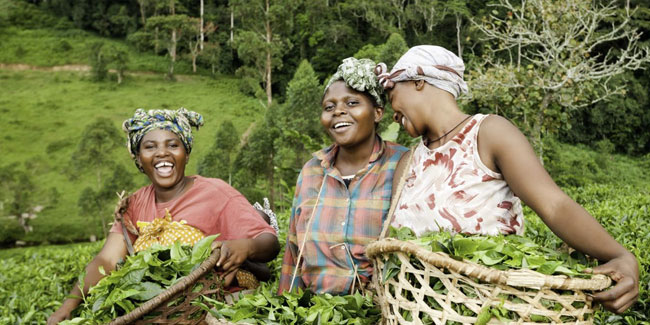 Подія 8 серпня - День фермерів або День Нана Нейн в Танзанії