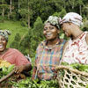 День фермерів або День Нана Нейн в Танзанії