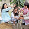 День посадки дерев в Пакистані