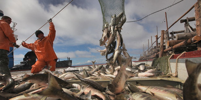 Міжнародний день рибальства